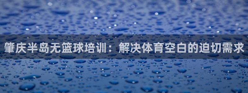 富联官网注册不了账号：肇庆半岛无篮球培训：解决体育空白的迫切